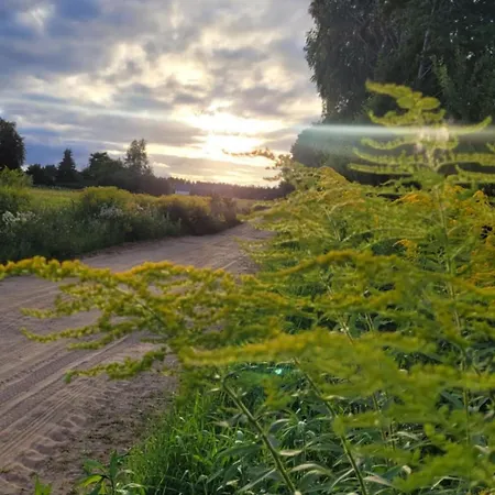 Stodoła Nad Kalwą * Pasym